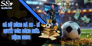 Cá Độ Bóng Đá S8 - Bí Quyết Đón Sóng Biến Động Odds