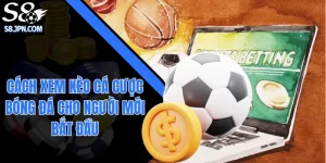 Cách Xem Kèo Cá Cược Bóng Đá Cho Người Mới Bắt Đầu