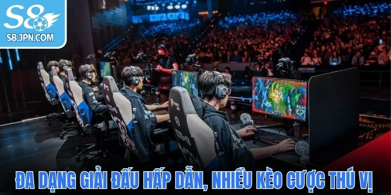 Đa dạng giải đấu hấp dẫn, nhiều kèo cược thú vị
