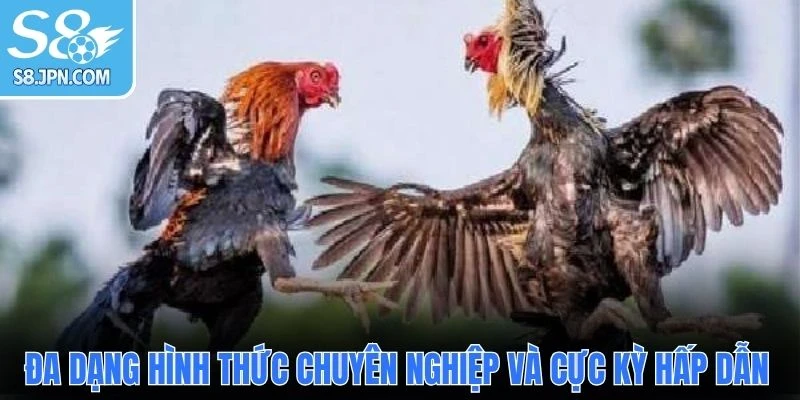 Đa dạng hình thức chuyên nghiệp và cực kỳ hấp dẫn