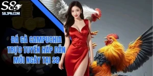 Đá Gà Campuchia Trực Tuyến Hấp Dẫn Mỗi Ngày Tại S8