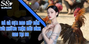 Đá Gà Cựa Dao Hấp Dẫn Với Những Trận Đấu Đỉnh Cao Tại S8