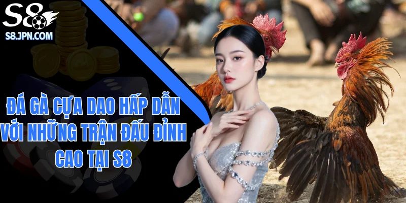 Đá Gà Cựa Dao Hấp Dẫn Với Những Trận Đấu Đỉnh Cao Tại S8