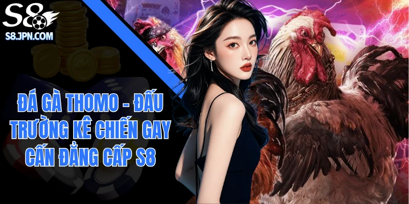 Đá Gà Thomo - Đấu Trường Kê Chiến gay Cấn Đẳng Cấp S8