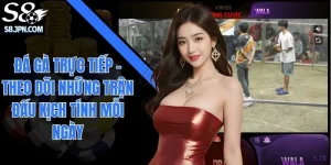 Đá Gà Trực Tiếp - Theo Dõi Những Trận Đấu Kịch Tính Mỗi NgàyĐá Gà Trực Tiếp - Theo Dõi Những Trận Đấu Kịch Tính Mỗi Ngày