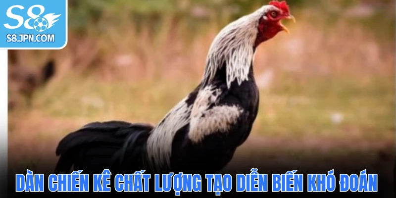 Dàn chiến kê chất lượng tạo diễn biến khó đoán