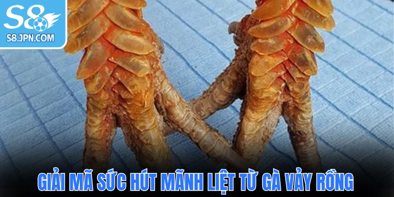 Giải mã sức hút mãnh liệt từ gà vảy rồng