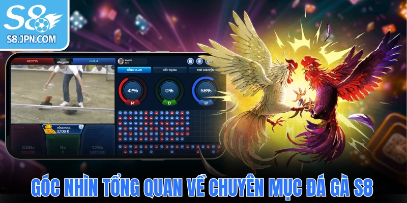 Góc nhìn tổng quan về chuyên mục đá gà S8