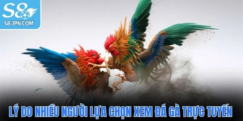 Lý do nhiều người lựa chọn xem đá gà trực tuyến