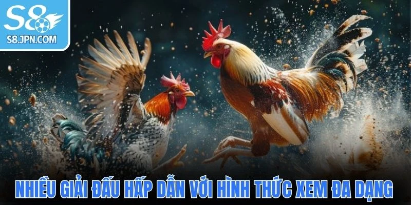 Nhiều giải đấu hấp dẫn với hình thức xem đa dạng