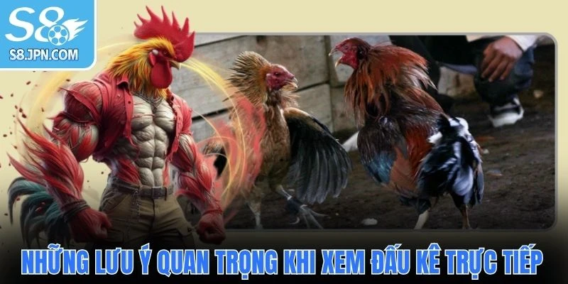 Những lưu ý quan trọng khi xem đấu kê trực tiếp