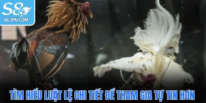 Tìm hiểu luật lệ chi tiết để tham gia tự tin hơn