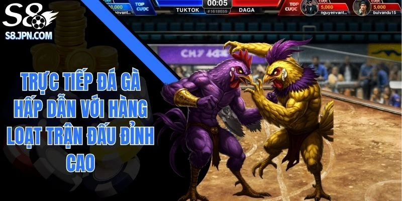 Trực Tiếp Đá Gà Hấp Dẫn Với Hàng Loạt Trận Đấu Đỉnh Cao