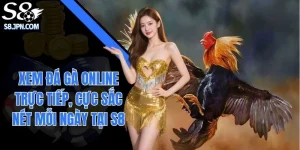 Xem Đá Gà Online Trực Tiếp, Cực Sắc Nét Mỗi Ngày Tại S8